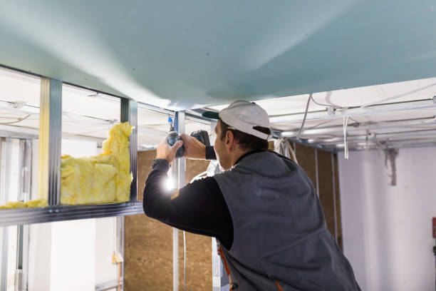 Best Geographic-Specific Insulation Services in Goshen, AR