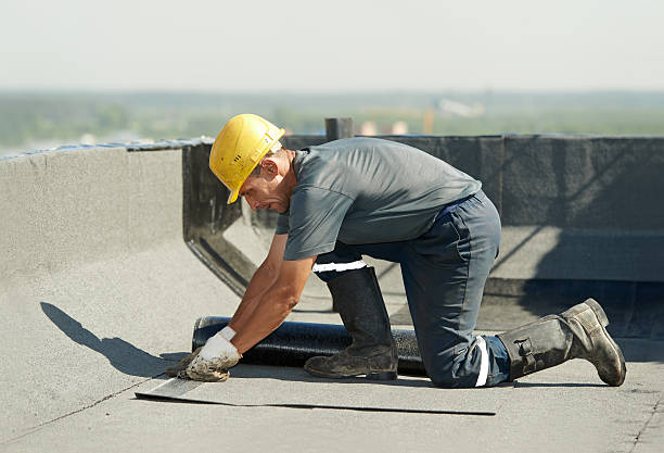 Best Insulation Maintenance and Repair in Goshen, AR