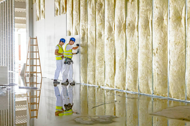 Best Eco-Friendly Insulation in Goshen, AR